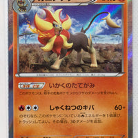 XY2 Wild Blaze 015/080 Pyroar 1st Edition Holo