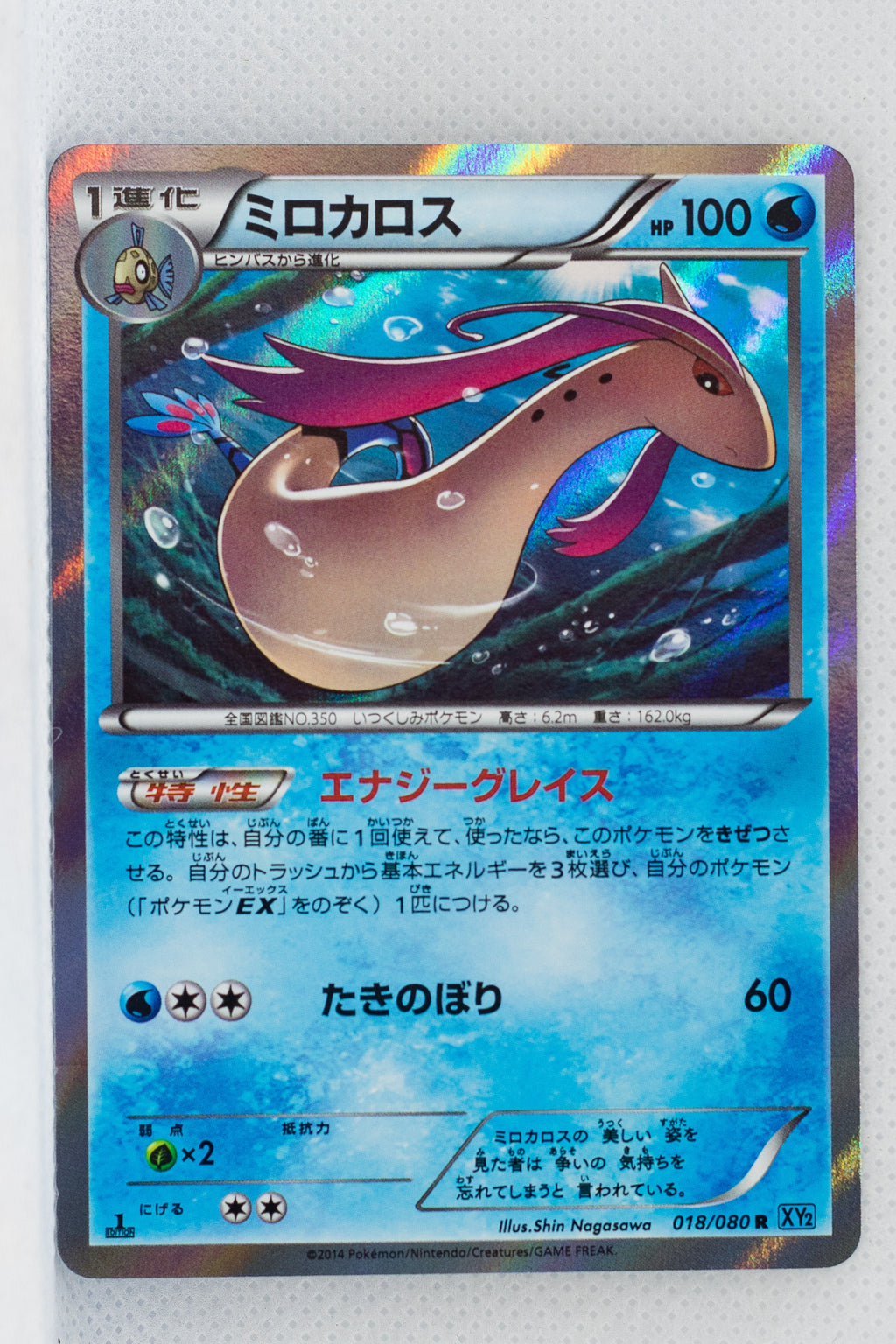 XY2 Wild Blaze 018/080 Milotic 1st Edition Holo