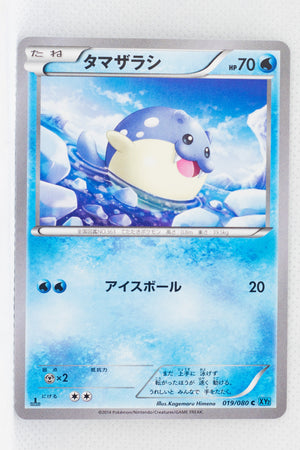 XY2 Wild Blaze 019/080 Spheal 1st Edition