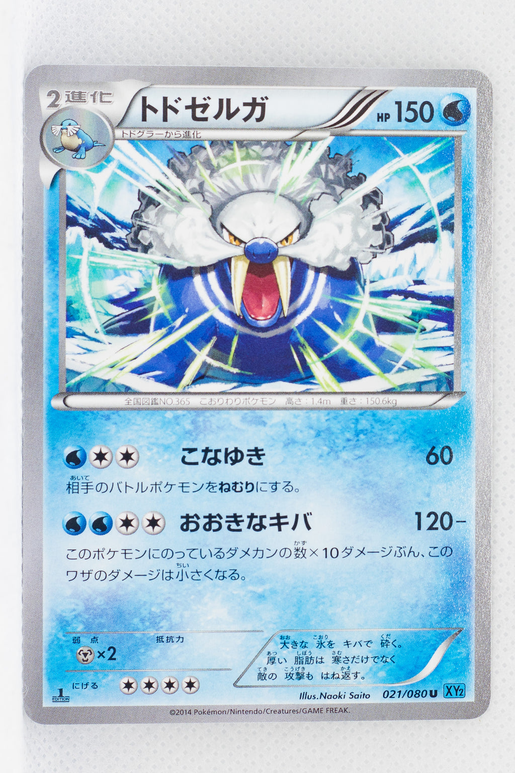 XY2 Wild Blaze 021/080 Walrein 1st Edition