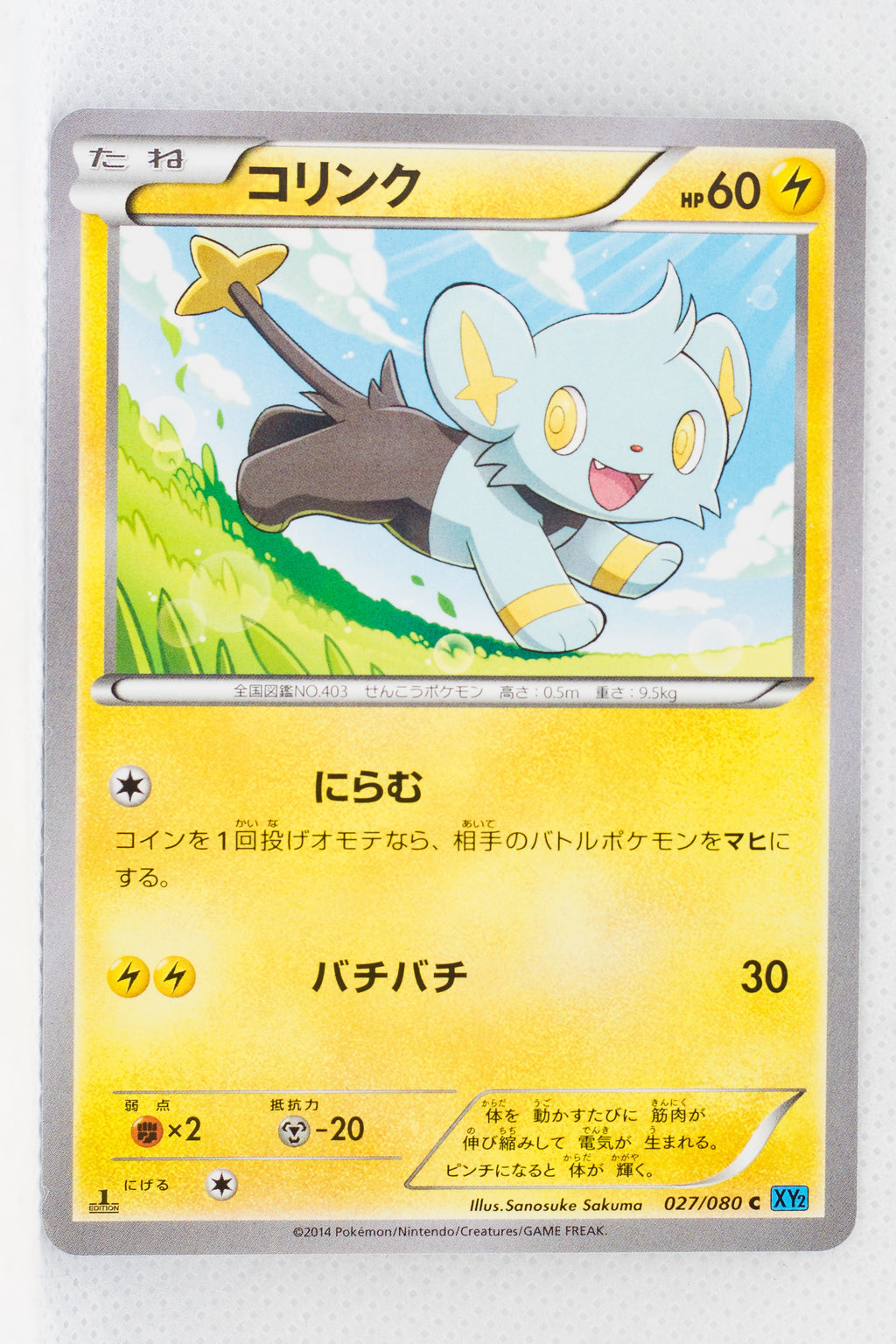 XY2 Wild Blaze 027/080 Shinx 1st Edition