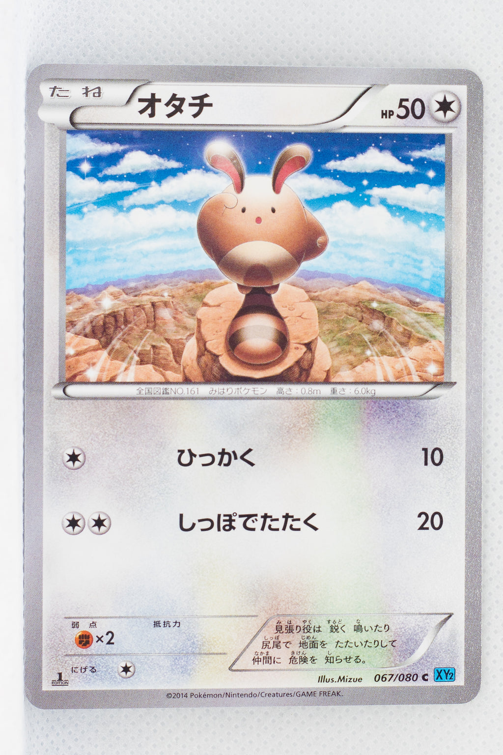 XY2 Wild Blaze 067/080 Sentret 1st Edition