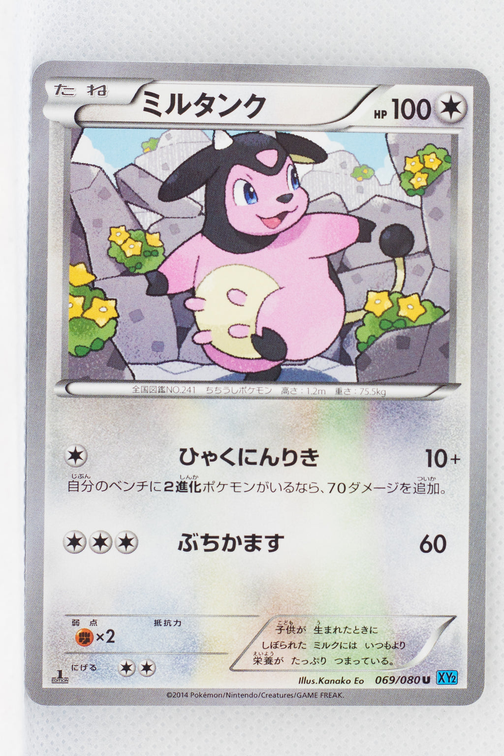 XY2 Wild Blaze 069/080 Miltank 1st Edition