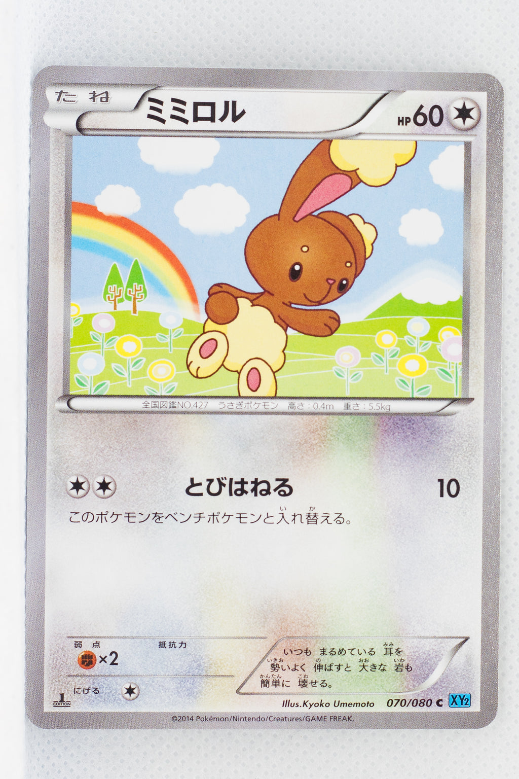 XY2 Wild Blaze 070/080 Buneary 1st Edition