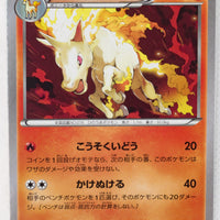 XY 20th Starter Pack 013/072	Rapidash