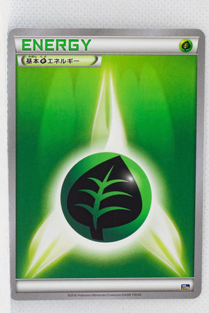 XY 20th Starter Pack Grass Energy