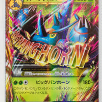 XY3 Rising Fist 005/096 Mega Heracross EX Holo 1st Edition