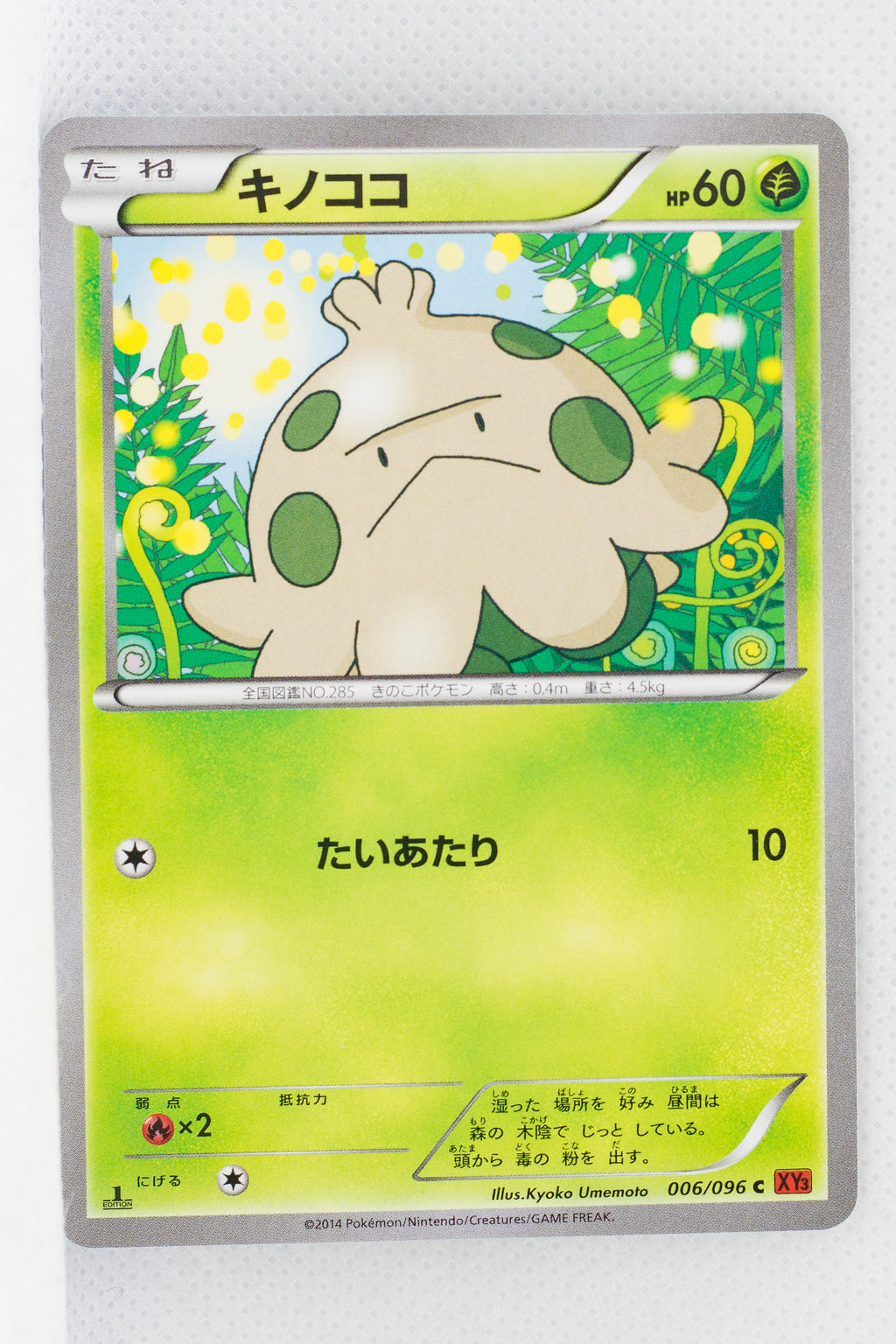 XY3 Rising Fist 006/096 Shroomish 1st Edition