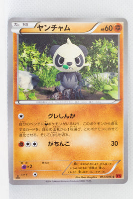 XY3 Rising Fist 057/096 Pancham 1st Edition