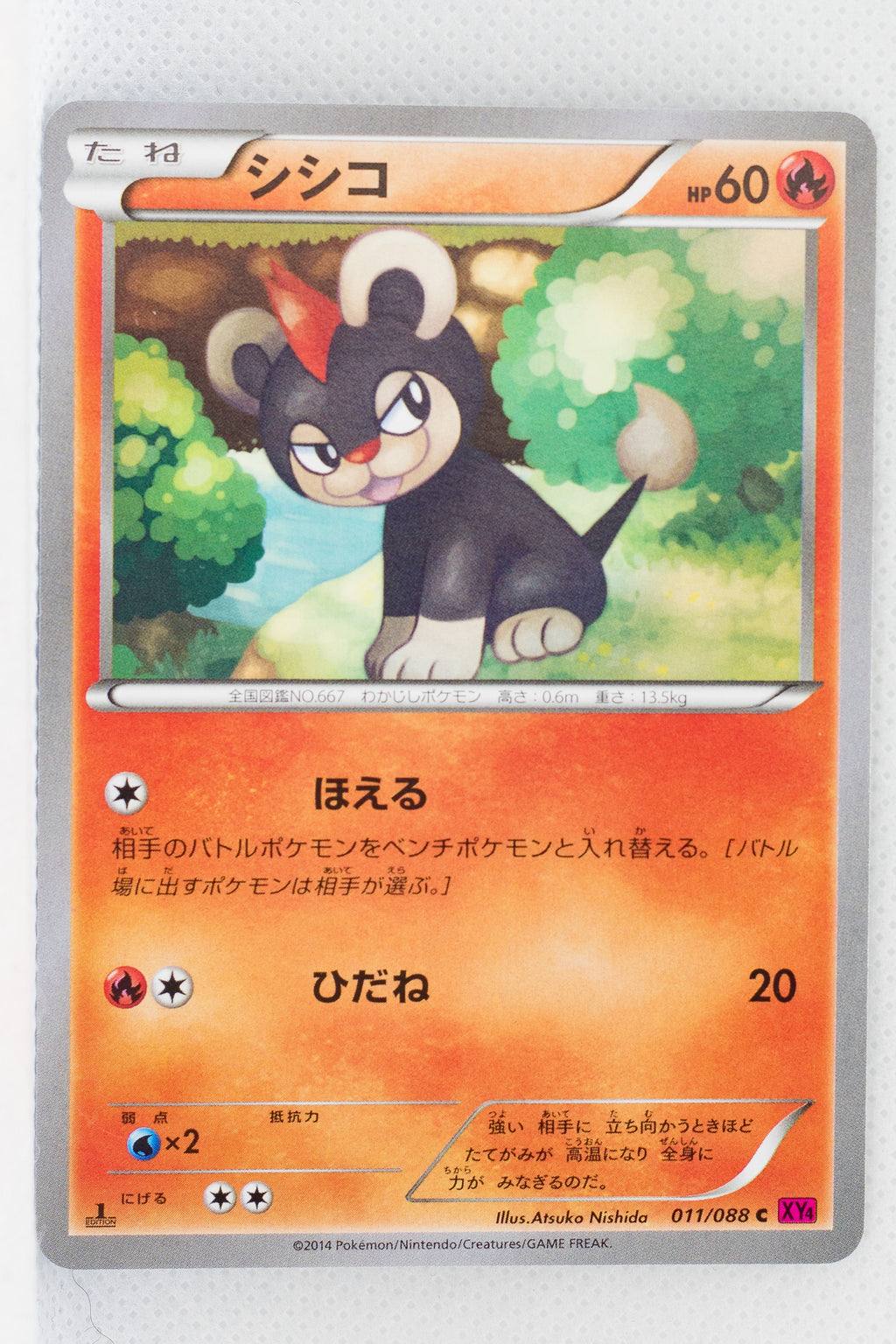 XY4 Phantom Gate 011/088	Litleo 1st Edition