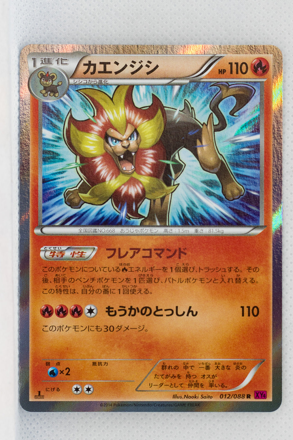 XY4 Phantom Gate 012/088 Pyroar 1st Edition Holo