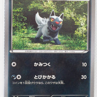 XY4 Phantom Gate 052/088 Poochyena 1st Edition