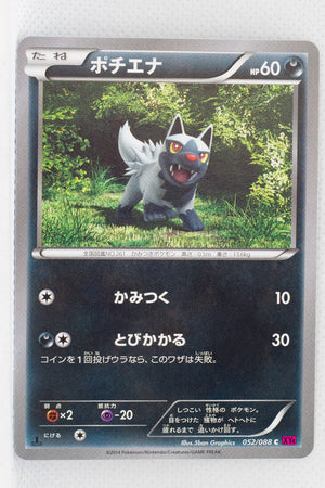 XY4 Phantom Gate 052/088 Poochyena 1st Edition