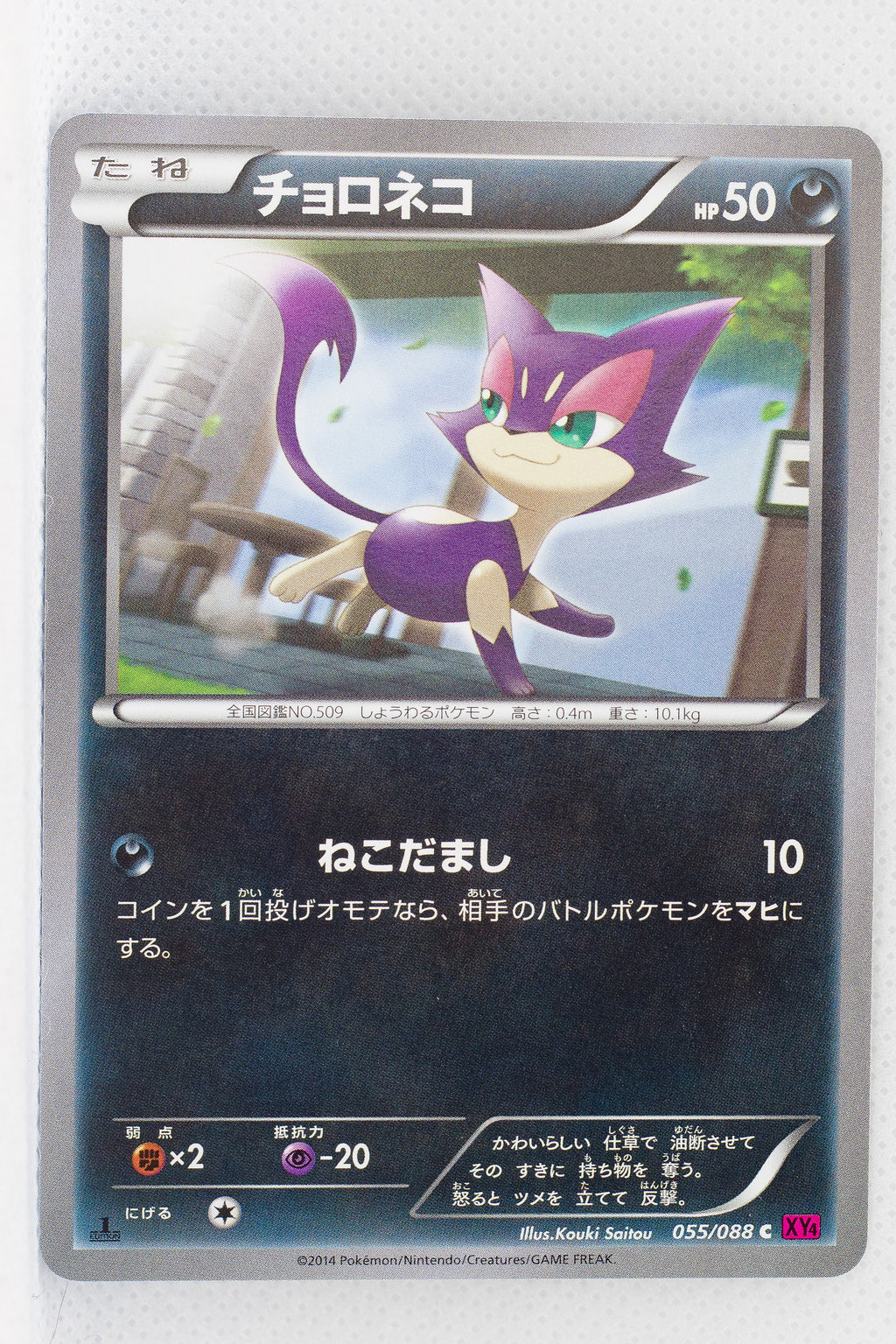 XY4 Phantom Gate 055/088	Purrloin 1st Edition