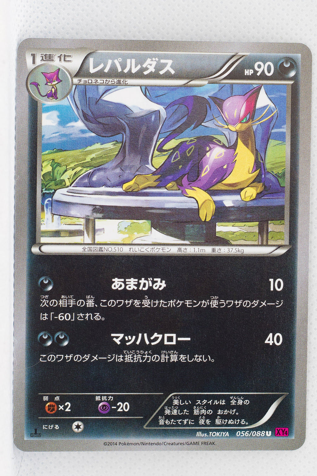 XY4 Phantom Gate 056/088	Liepard 1st Edition