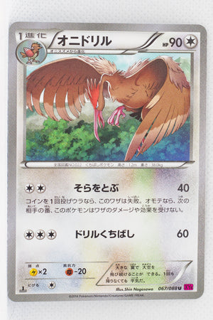 XY4 Phantom Gate 067/088 Fearow 1st Edition