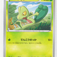 XY5 Gaia Volcano 003/070	Treecko 1st Edition