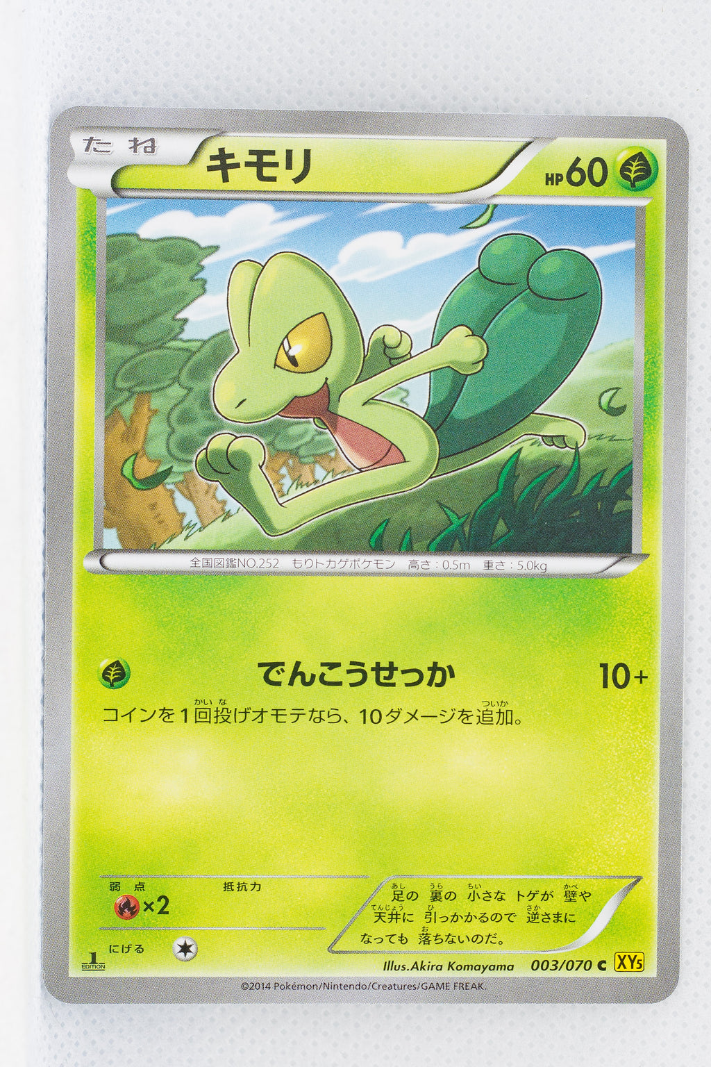 XY5 Gaia Volcano 003/070	Treecko 1st Edition