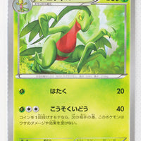 XY5 Gaia Volcano 004/070	Grovyle 1st Edition