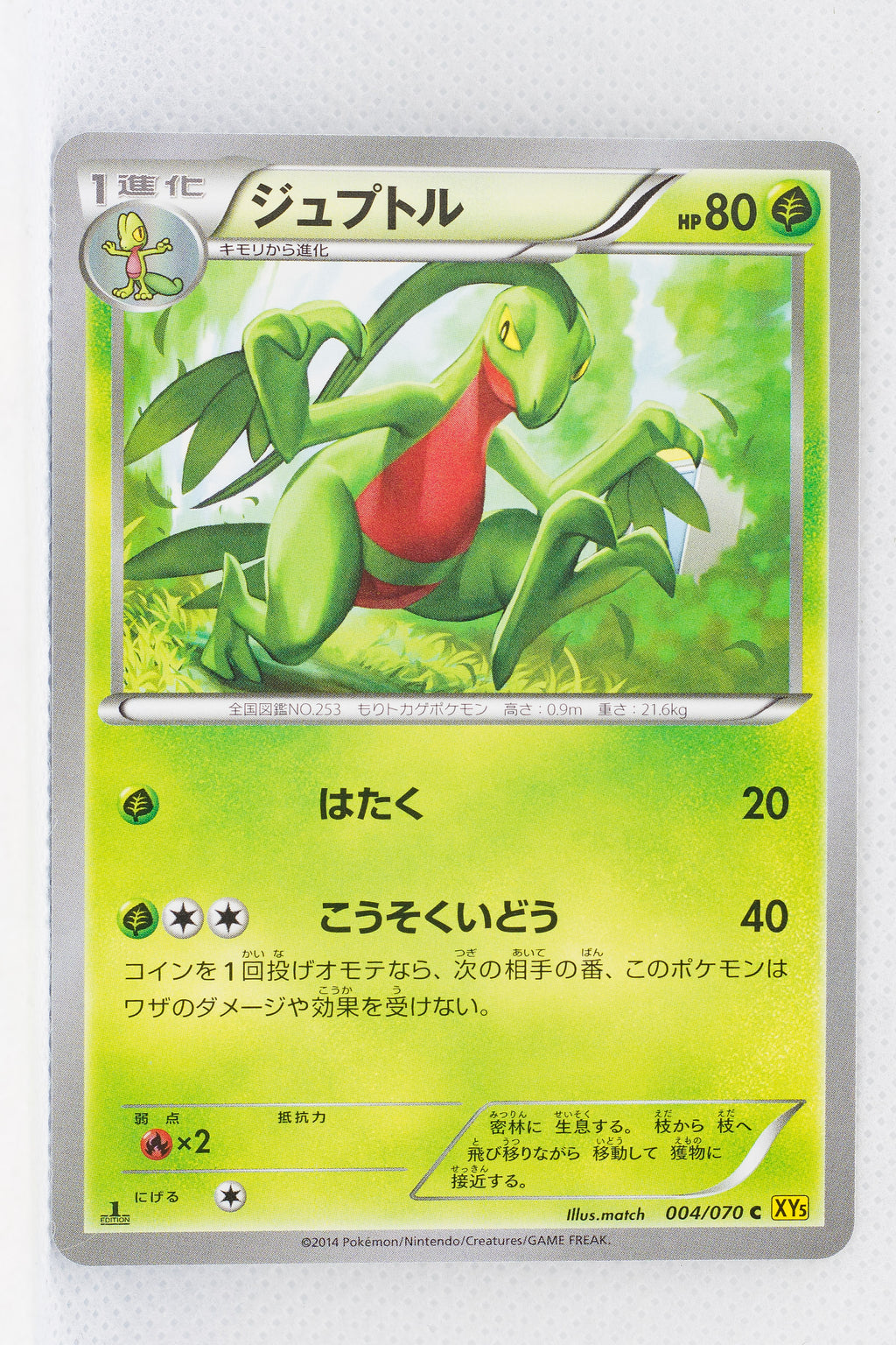 XY5 Gaia Volcano 004/070	Grovyle 1st Edition