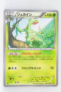 XY5 Gaia Volcano 005/070	Sceptile 1st Edition