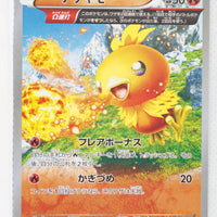 XY5 Gaia Volcano 018/070	Torchic 1st Edition