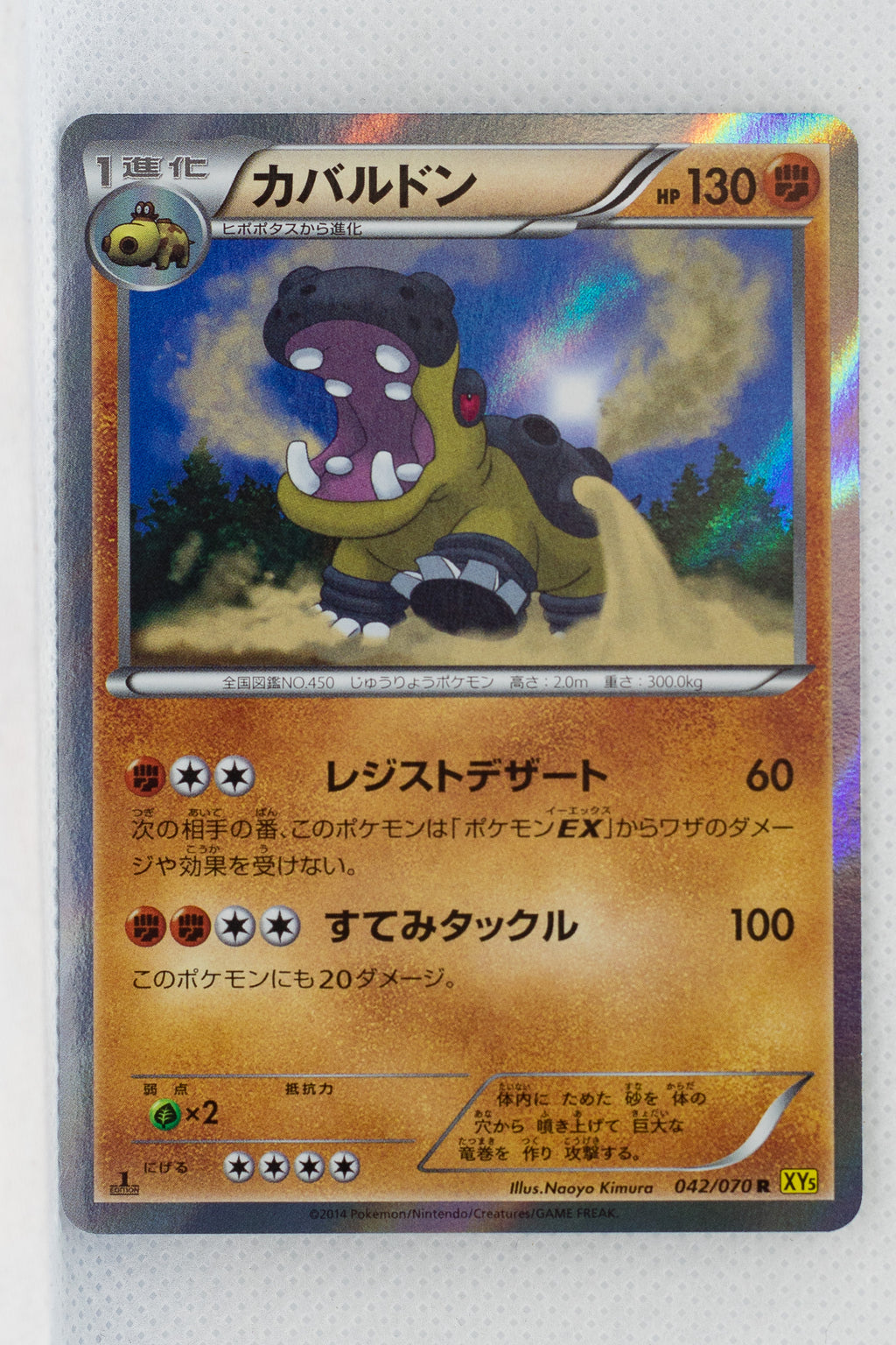 XY5 Gaia Volcano 042/070 Hippowdon 1st Edition Holo