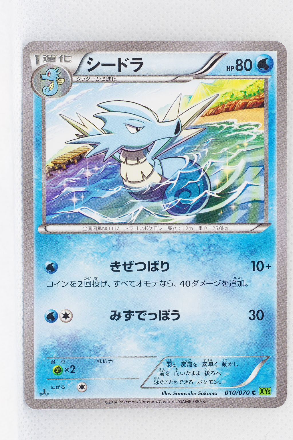 XY5 Tidal Storm 010/070	Seadra 1st Edition