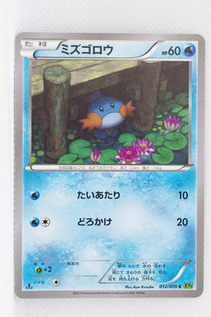 XY5 Tidal Storm 012/070	Mudkip 1st Edition