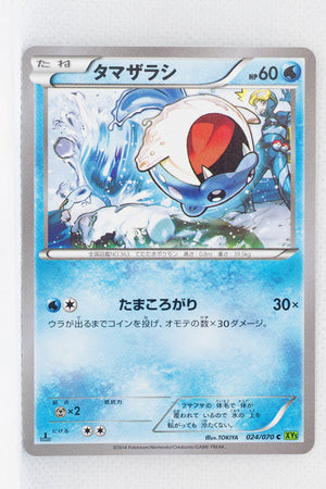 XY5 Tidal Storm 024/070	Spheal 1st Edition