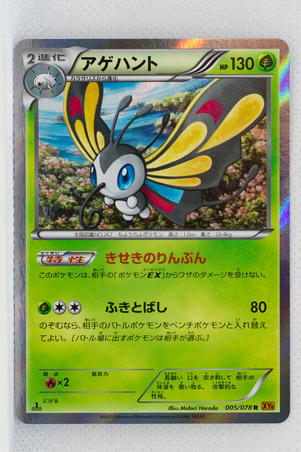 XY6 Emerald Break 005/078 Beautifly 1st Edition Holo