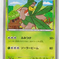 XY6 Emerald Break 012/078 Tropius 1st Edition