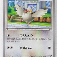 XY6 Emerald Break 064/078 Pidove 1st Edition