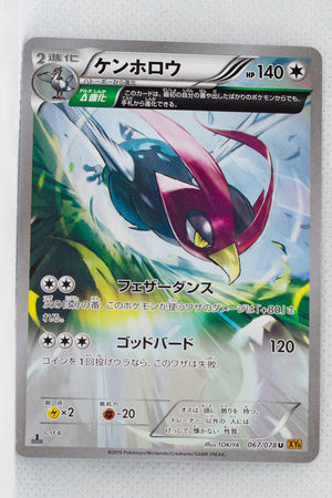 XY6 Emerald Break 067/078 Unfezant 1st Edition