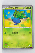 XY7 Bandit Ring 001/081 Oddish 1st Edition