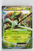 XY7 Bandit Ring 007/081 Sceptile EX Holo 1st Edition