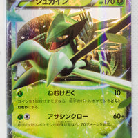 XY7 Bandit Ring 007/081 Sceptile EX Holo 1st Edition