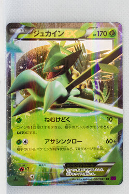 XY7 Bandit Ring 007/081 Sceptile EX Holo 1st Edition