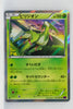 XY7 Bandit Ring 012/081 Virizion Holo 1st Edition