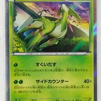 XY7 Bandit Ring 012/081 Virizion Holo 1st Edition