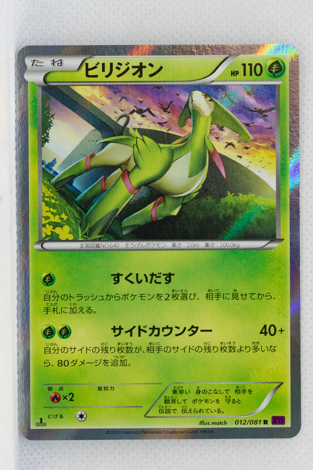 XY7 Bandit Ring 012/081 Virizion Holo 1st Edition