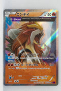 XY7 Bandit Ring 015/081 Entei Holo 1st Edition