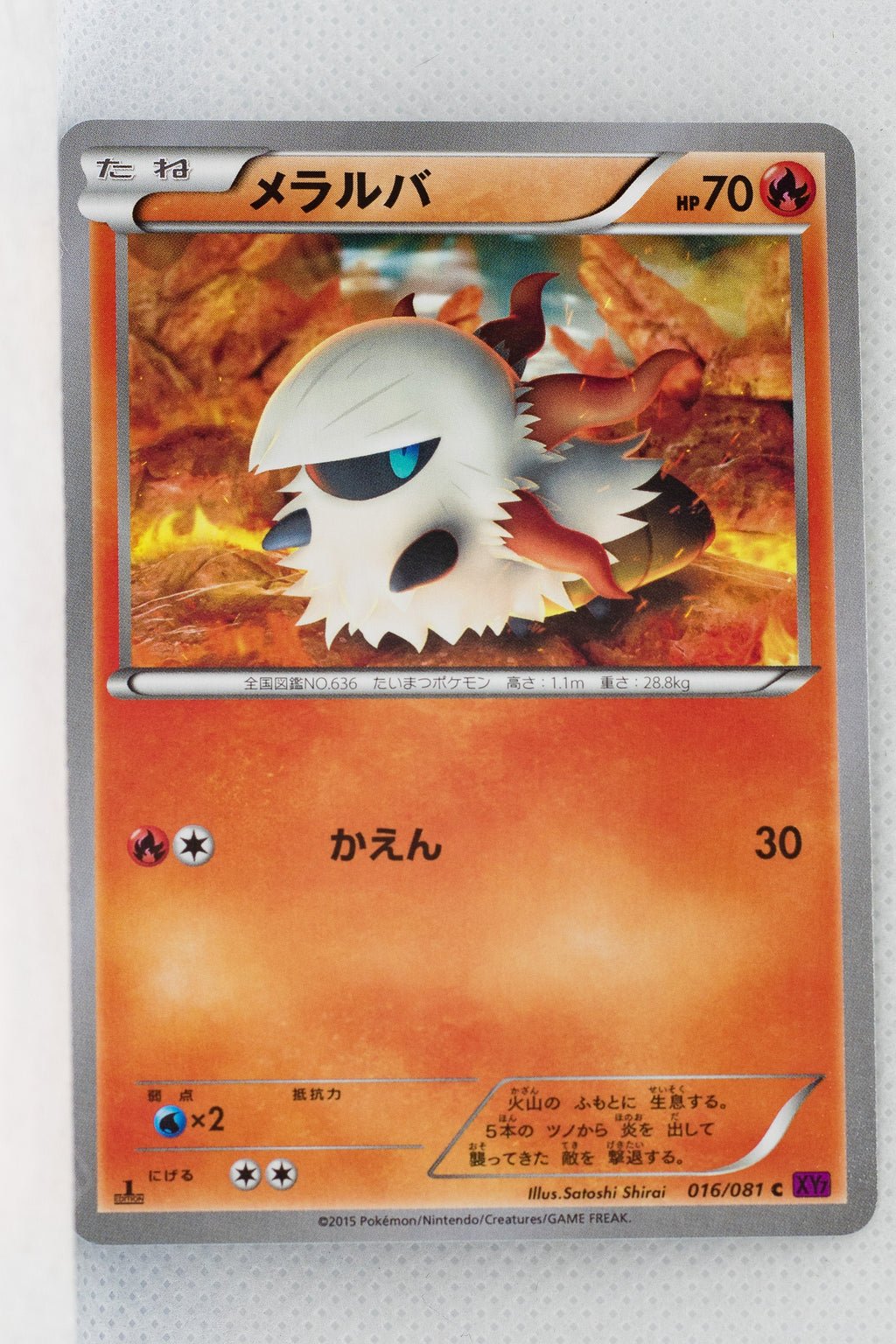 XY7 Bandit Ring 016/081 Larvesta 1st Edition