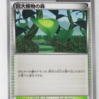 XY7 Bandit Ring 079/081 Forest of Giant Plants 1st Edition