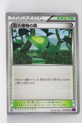 XY7 Bandit Ring 079/081 Forest of Giant Plants 1st Edition