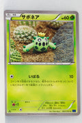 XY8 Blue Shock 002/059	Cacnea 1st Edition