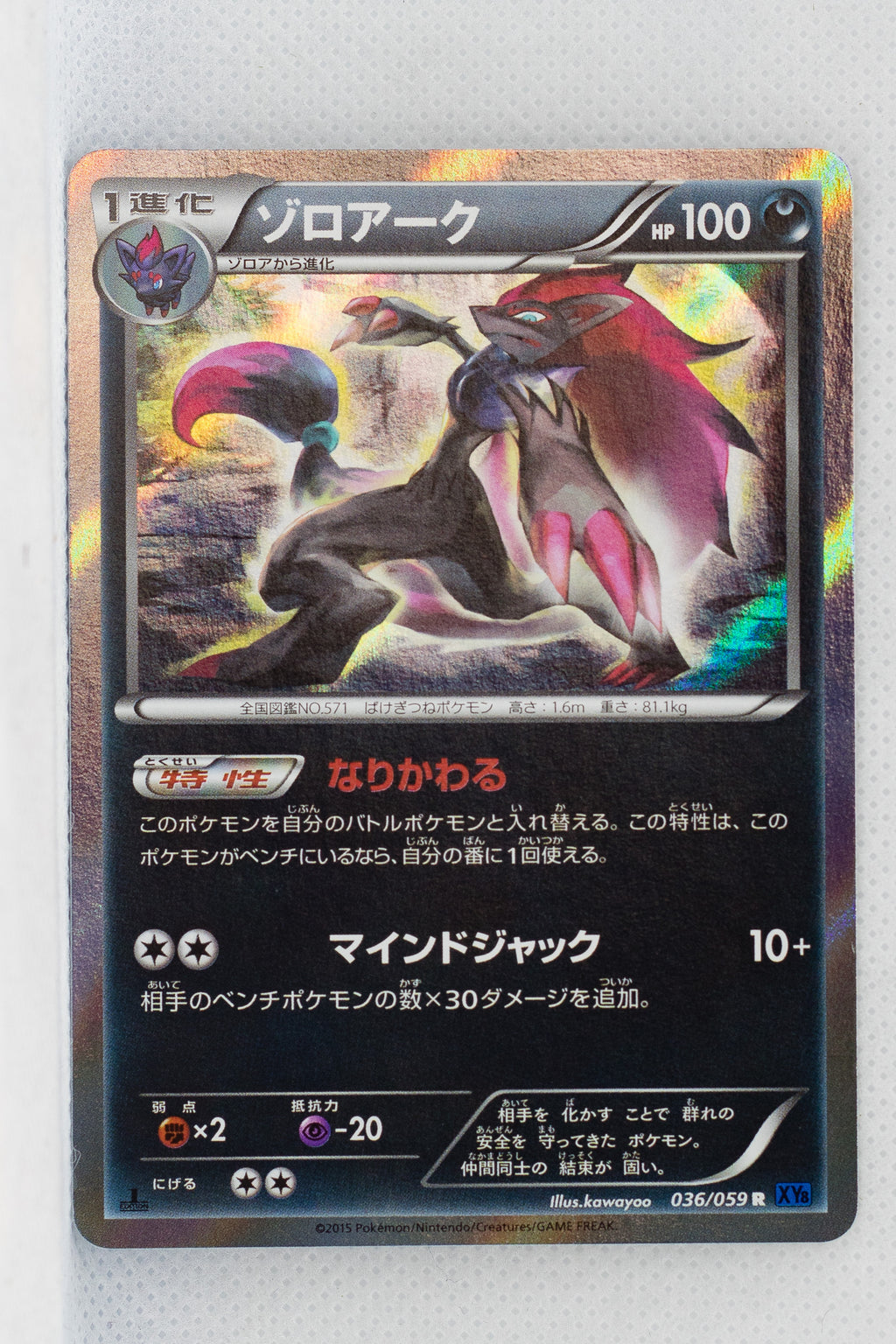 XY8 Blue Shock 036/059	Zoroark 1st Edition Holo