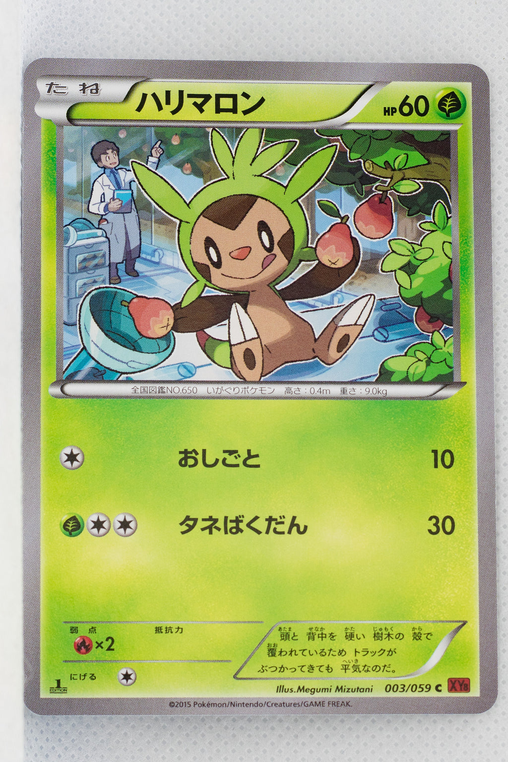 XY8 Red Flash 003/059 Chespin 1st Edition