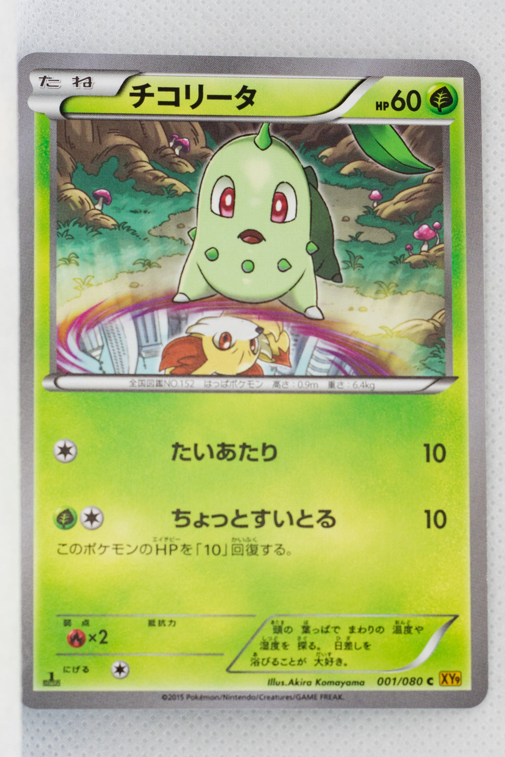 XY9 Rage of Broken Heavens 001/080 Chikorita 1st Edition