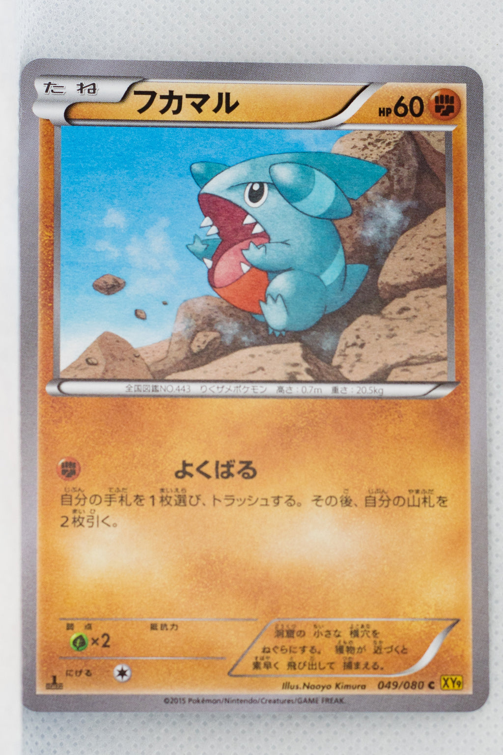 XY9 Rage of Broken Heavens 049/080 Gible 1st Edition